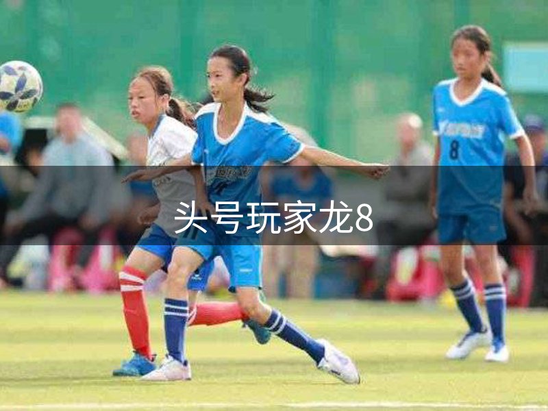 公司力量